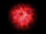 Wallpaper de Starcraft