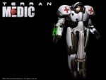 Wallpaper de Starcraft