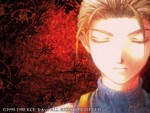 Wallpaper de Suikoden II